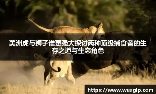 304am永利集团官方网站